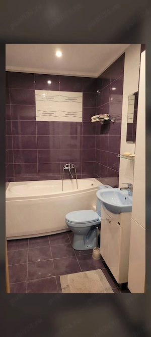 Casă complet renovată, teren 4.000 mp, vie și pomi fructiferi în Călărași (Jud. Cluj, la mică distan - imagine 4