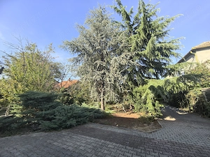 Vila premium in Timisoara   440 mp utili   teren 1.150 mp. - imagine 3