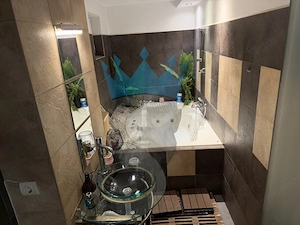  Apartament 2 Camere Unirii Bucuresti - imagine 15