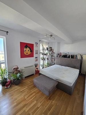 Apartament 4 camere Calea Calarasi Decebal - imagine 7