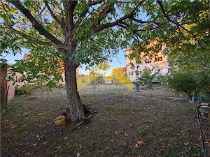 Casa la sol de vanzare in localitatea Livada , Arad - imagine 5
