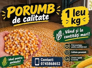 Vand porumb boabe
