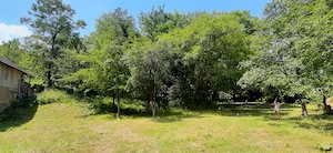 Fieni- teren 10300 mp intravilan - imagine 3