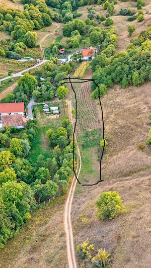 Teren intravilan de vânzare în Inucu, județul Cluj   3.200 m  | 20   m  - imagine 4