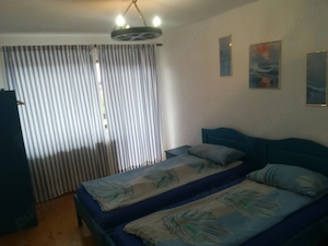 Vând casa( afacere) în Belis - imagine 8