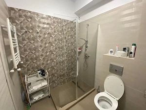 inchiriere apartament  - imagine 5