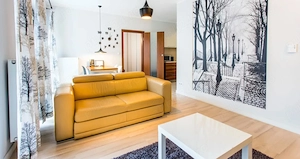 Apartament în regim hotelier lângă AFI Mall   Brașov, zona centrală - imagine 3