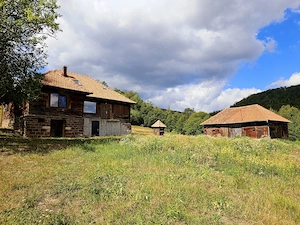 Poiană privată, pădure și casă- Negreni | Proprietate cu potențial turistic - imagine 2
