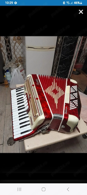 două acordeoane. 
