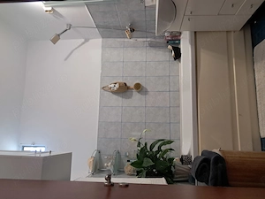 Apartament 2 camere cu balcon, Tomis II   zonă liniștită și multă verdeață Preț: 87.500   - imagine 10
