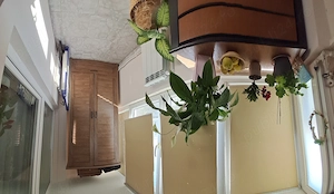 Apartament 2 camere cu balcon, Tomis II   zonă liniștită și multă verdeață Preț: 87.500   - imagine 7