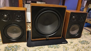 sistem sunet 2.1 Canton cu sau fără amplificator