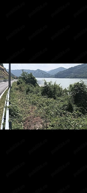 Teren la Dunare(Svinița)-250m p si 500m p