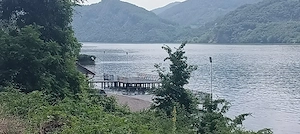 Teren la Dunare(Svinița)-250m p si 500m p - imagine 4