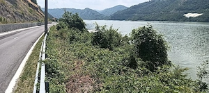 Teren la Dunare(Svinița)-250m p si 500m p - imagine 5