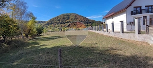 Teren 2,103mp Sighetu Marmatiei / Strada Solovan