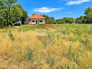 Casă cu 6 camere și teren de 4.800 mp în Ciocănești, Călărași - imagine 2