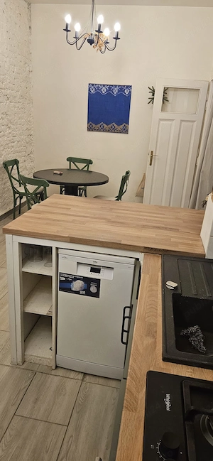 Pet Friendly......central , Timotei Cipariu !!! - imagine 10