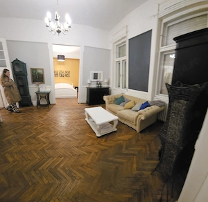 Pet Friendly......central , Timotei Cipariu !!!