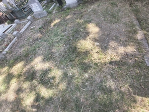 Concesionez o parcelă cu suprafața de 21 mp în Cimitirul Bellu Ortodox, în spatele Capelei - imagine 2