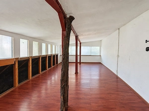 Colentina, str. Silvia, casa Parter + Pod, sup.  150mp, teren 94mp - imagine 19
