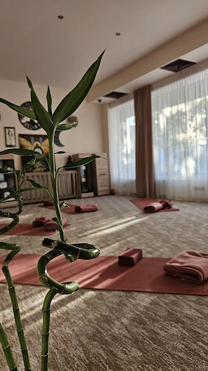 Se vinde afacere 25.000 euro .Ne relocăm în spatiul nostru, acesta fiind motivul vânzării 