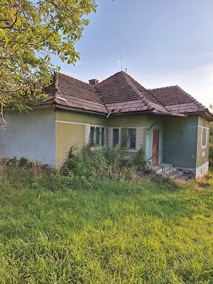 Teren cu casa si anexe - centru comuna, acte in regula pentru vanzare - imagine 2