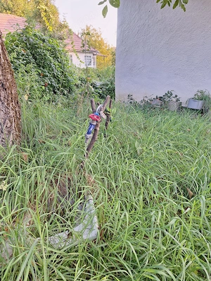 Teren cu casa si anexe - centru comuna, acte in regula pentru vanzare - imagine 7