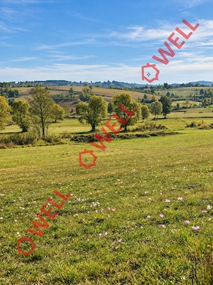 Teren intravilan de vânzare în Barcani, strada Constanda! - imagine 5