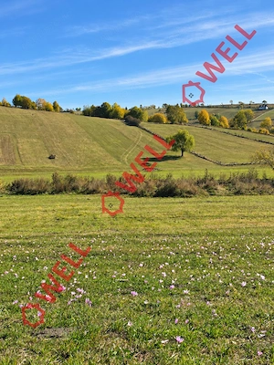 Teren intravilan de vânzare în Barcani, strada Constanda! - imagine 2