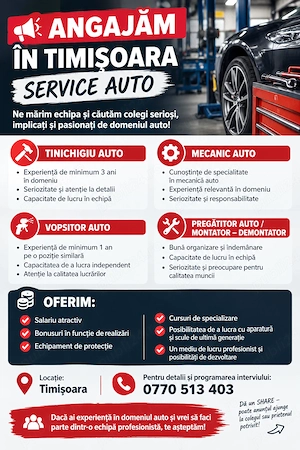 Angajari Service Auto  Timisoara