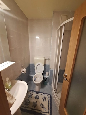 380 euro!!!Ap.cu 3 camere Et 1 cu centrala proprie Zona Bucovina - imagine 10