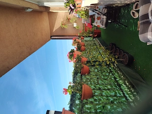 Ofer spre inchiriere garsoniera  For rent - imagine 4