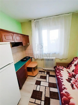 DACIA - 1 CAM - MOBILATA|UTILATA - ZONA LINISTITA