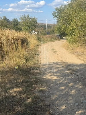Teren 2500 de vanzare - Daia - imagine 3