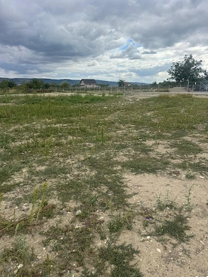 TEREN DE ÎNCHIRIAT   Nicolae Balcescu, Jud. Bacau -5.000 MP - imagine 3