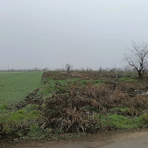 Teren Intravilan, 2000 mp, 20 min de Bucuresti - imagine 5