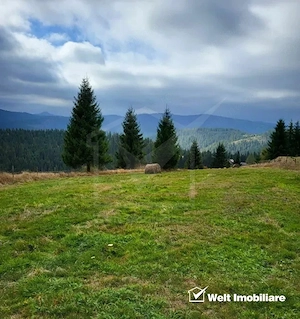 Exclusivitate: Casa si teren INTRAVILAN 4122 mp, zona BELIS - imagine 3