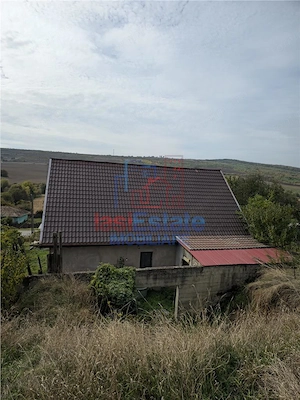 Schitu-Duca casa la strada P+M - imagine 11