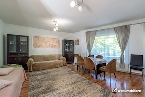 Vanzare casa individuala, spatioasa in Gruia teren 657 mp, zona linistita - imagine 8