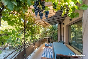 Vanzare casa individuala, spatioasa in Gruia teren 657 mp, zona linistita - imagine 6