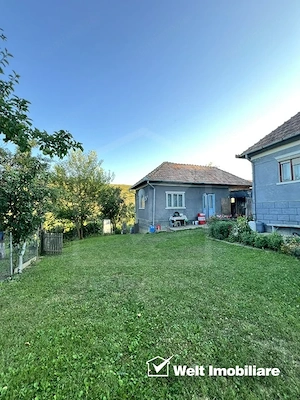 Casă țărănească sat Pata, teren 560mp, acte la zi, zona metropolitana - imagine 2