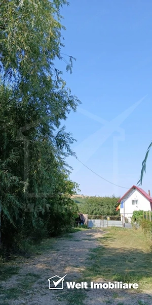 Casa in Comsesti cu teren intravilan 1800mp, acces bun - imagine 13
