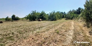 Casa in Comsesti cu teren intravilan 1800mp, acces bun - imagine 9