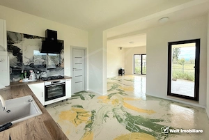 CASA INDIVIDUALA CU 750 MP TEREN IN JUCU DE MIJLOC - imagine 4