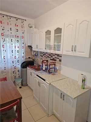 Valea Lupului-Central duplex de inchiriat - imagine 3