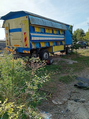 Vagon apicol