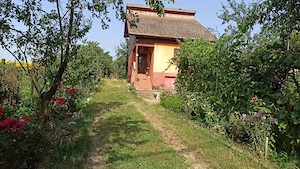 Vand casa in Vintu de Jos, strada recent modernizata