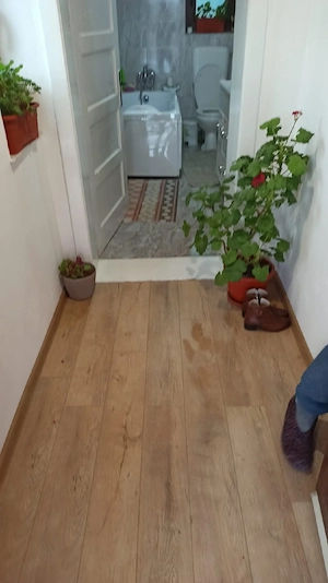 Vand casa in Vintu de Jos, strada recent modernizata - imagine 3