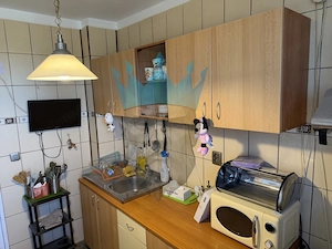  Apartament 2 Camere Titan-Parc IOR  Bucuresti - imagine 14